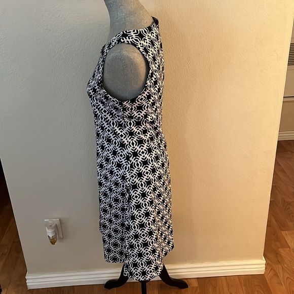 The Limited dress.  Size 6 - Picture 2 of 8